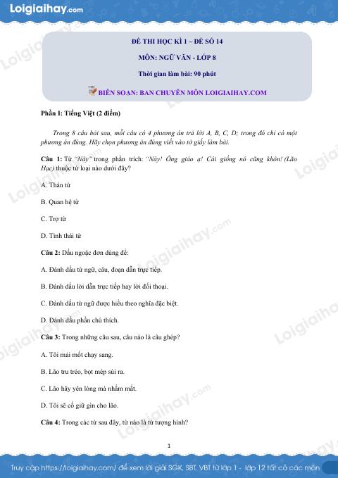 Đề số 14 - Đề kiểm tra học kì 1 (Đề thi học kì 1) - Ngữ văn 8